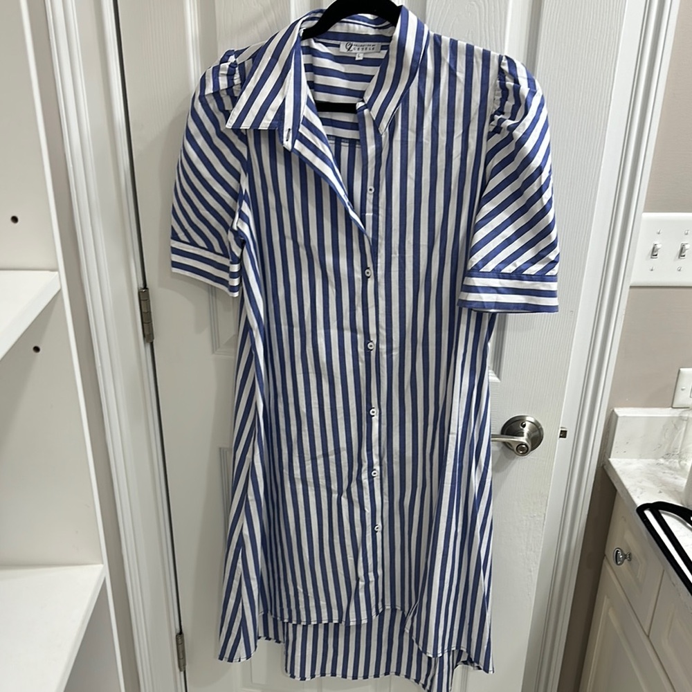 Blue and White Striped Button-Up Dress
